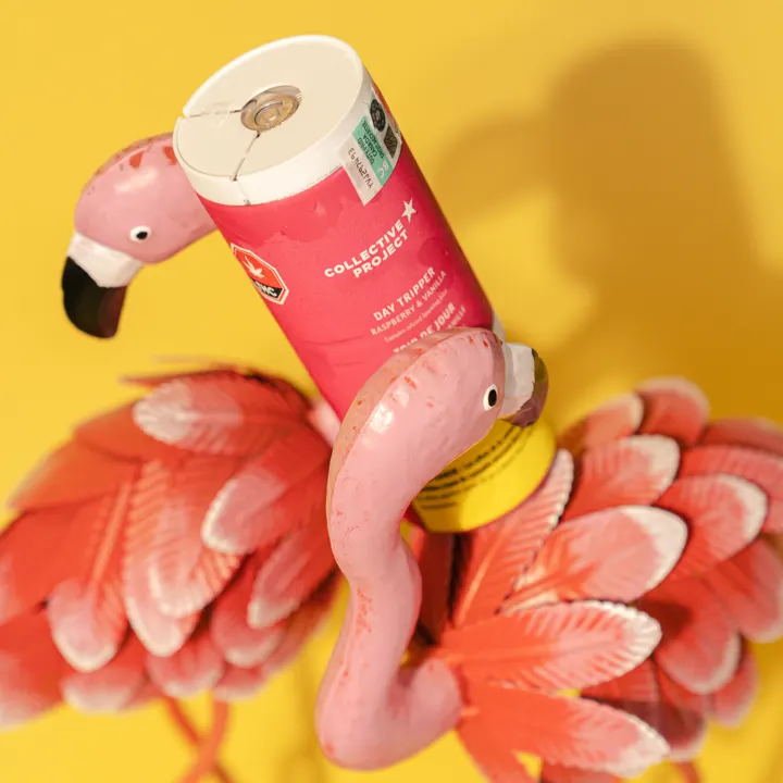 Pink flamingo holding a pre-roll tube on a yellow backdrop