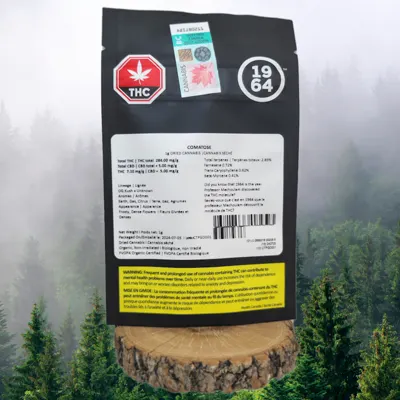 1964 Organic Comatose · 1g