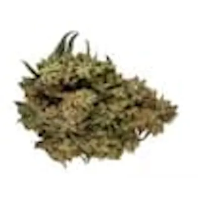 Orchid CBD CBD Runtz · 3.5g