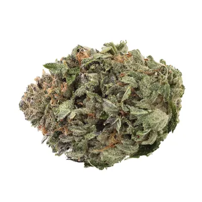 1964 Comatose - 3.5g
