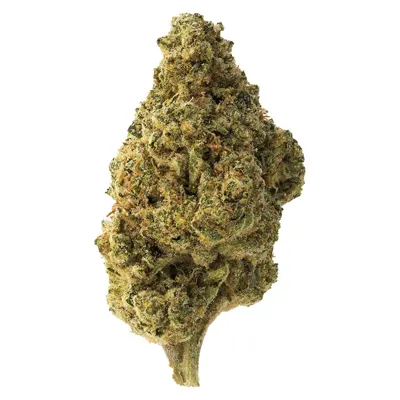 The Loud Plug Tropicana Cookies - 28g